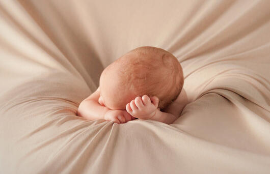 12-suenderhuse-photographie-melle-fotografin-kinder-schwangerschaft-newborn-baby.jpg